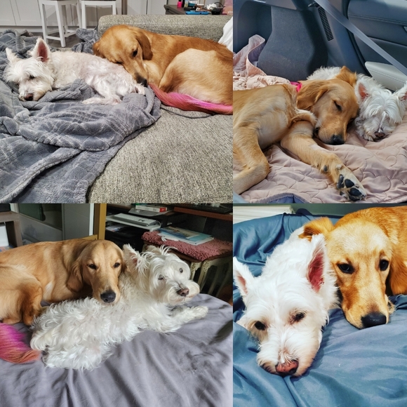 About Marissa... - Picture 4 of 5